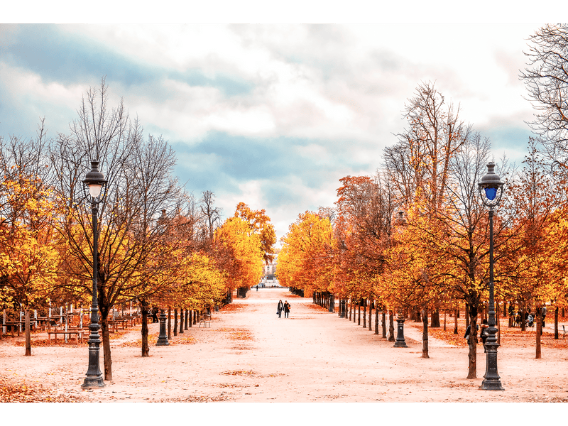 Novembre à Paris Series