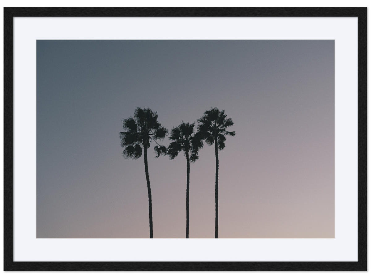 Three Palms at Dusk