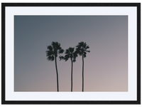 Three Palms at Dusk