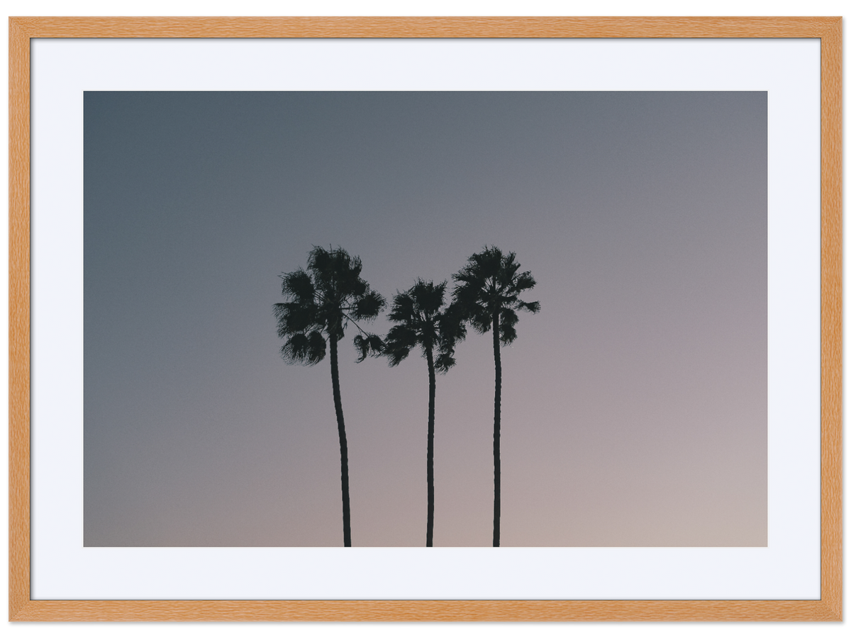 Three Palms at Dusk