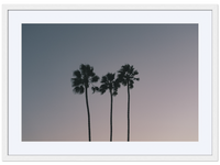 Three Palms at Dusk
