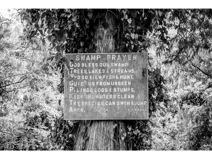 Swamp Prayer