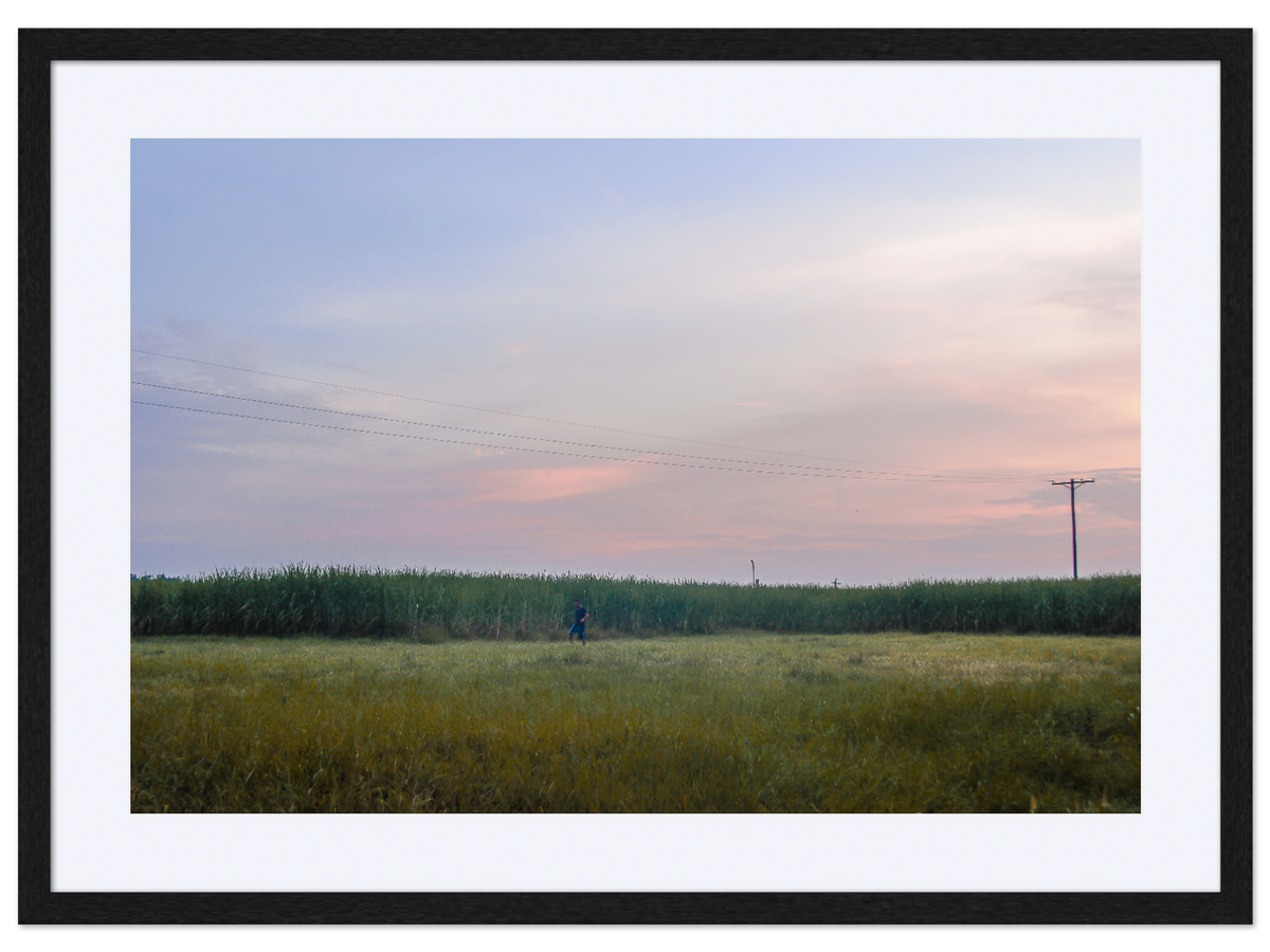 Stalking the Cane at Dusk