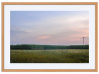 Stalking the Cane at Dusk
