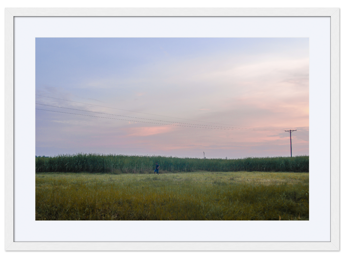 Stalking the Cane at Dusk
