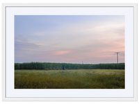 Stalking the Cane at Dusk