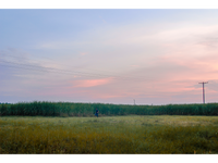 Stalking the Cane at Dusk