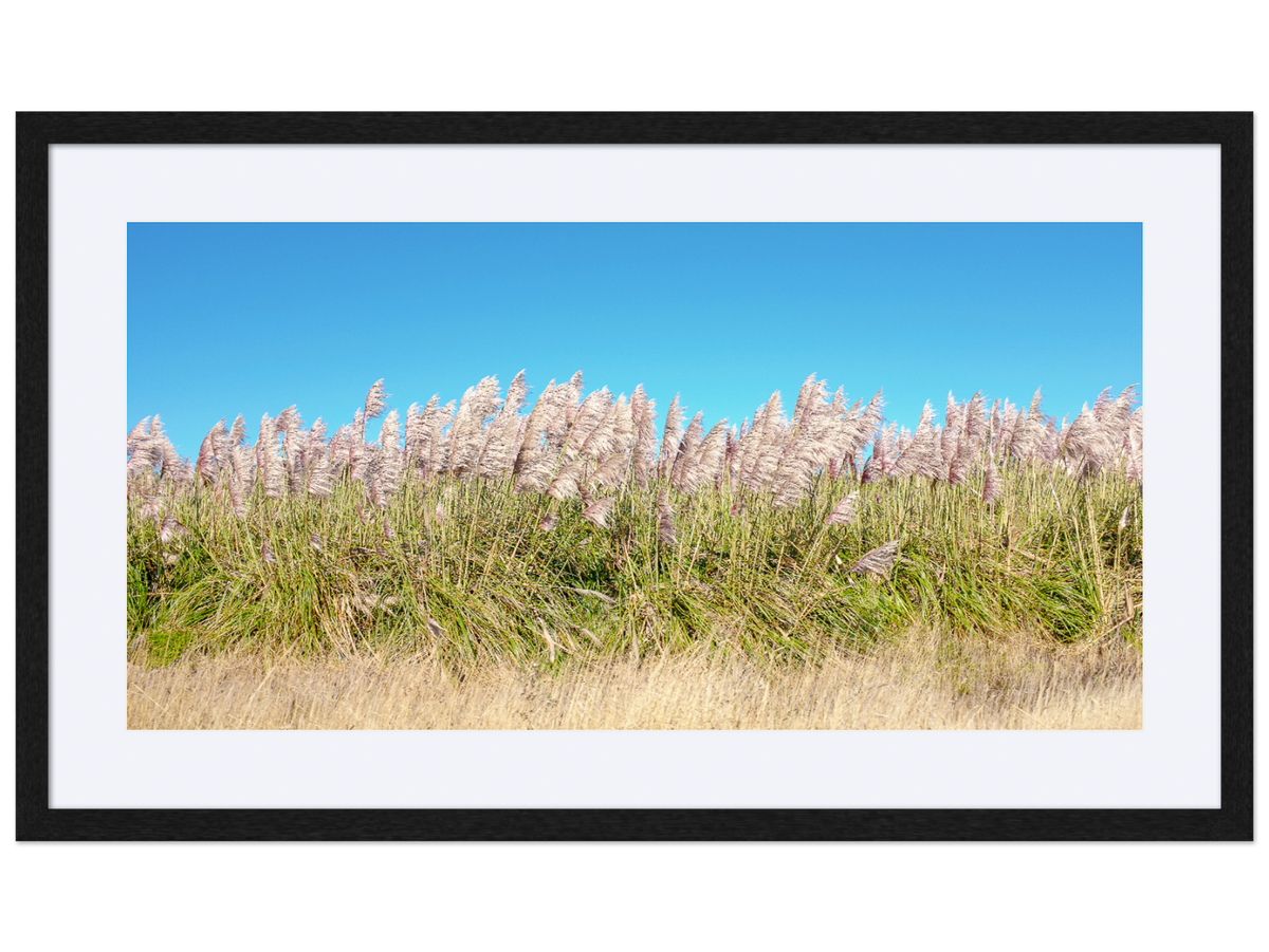 I Want to Make You Feel Free