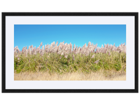 I Want to Make You Feel Free