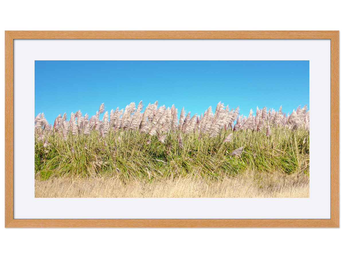 I Want to Make You Feel Free