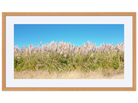 I Want to Make You Feel Free