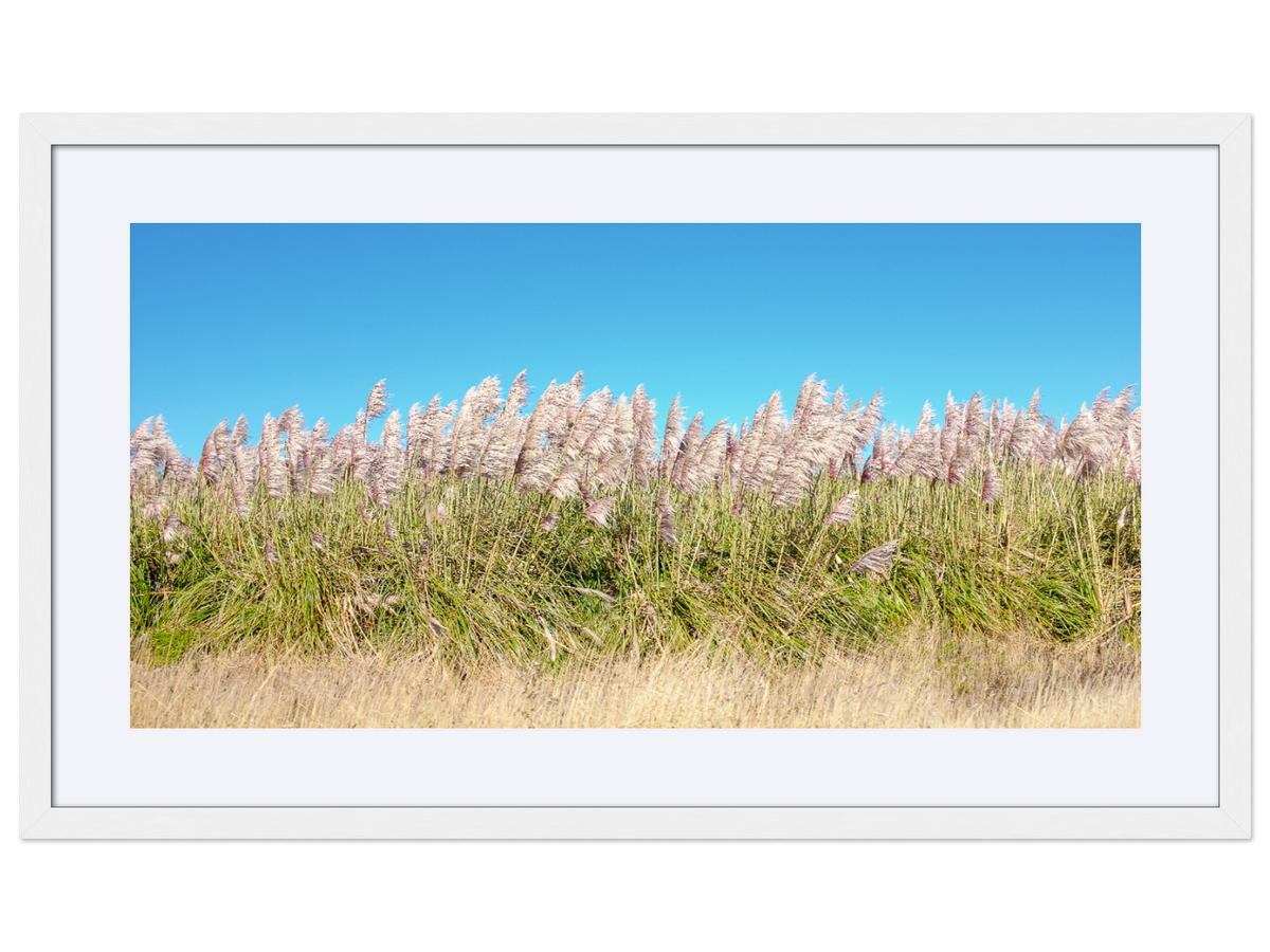 I Want to Make You Feel Free