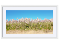 I Want to Make You Feel Free