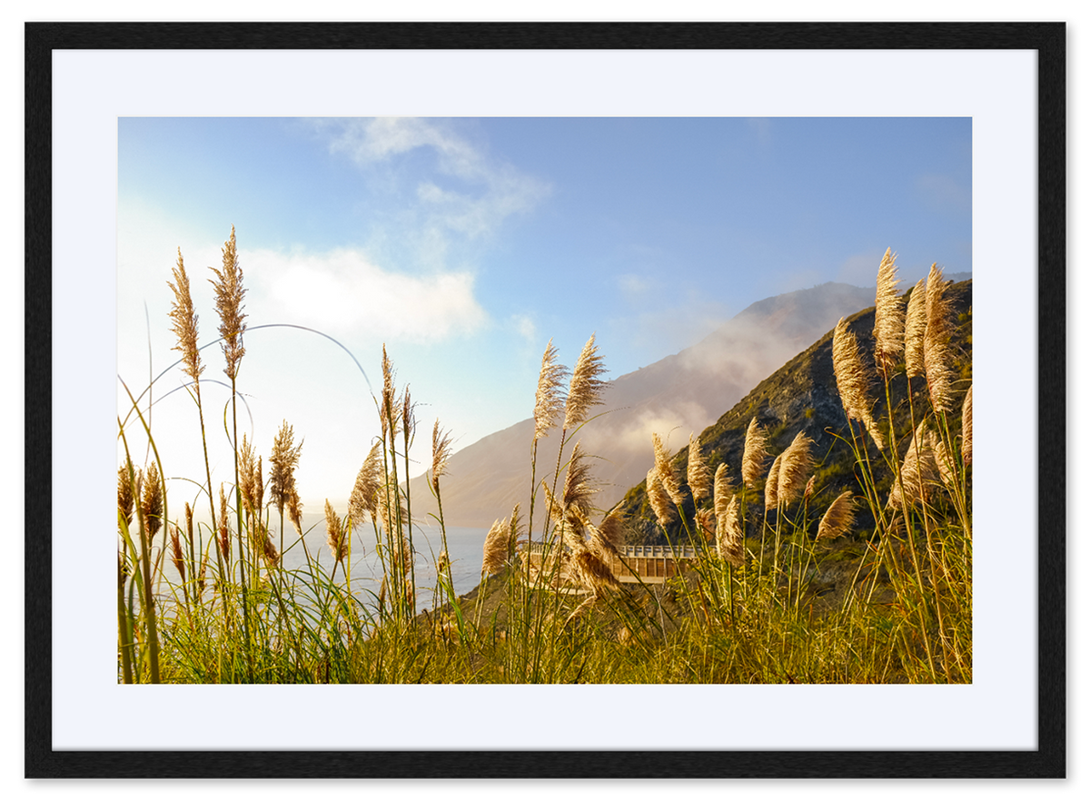 Golden State of Mind