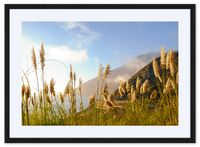 Golden State of Mind