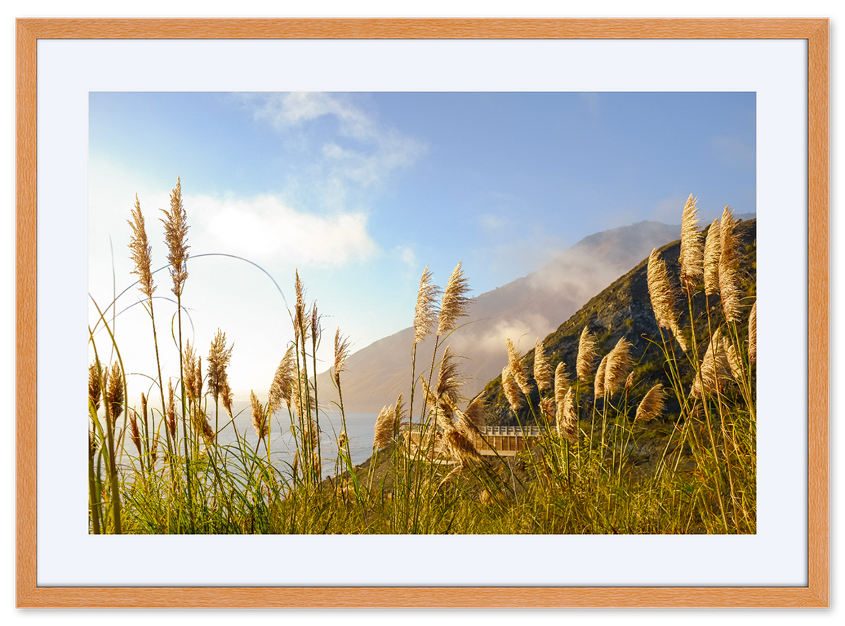 Golden State of Mind