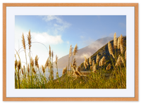 Golden State of Mind