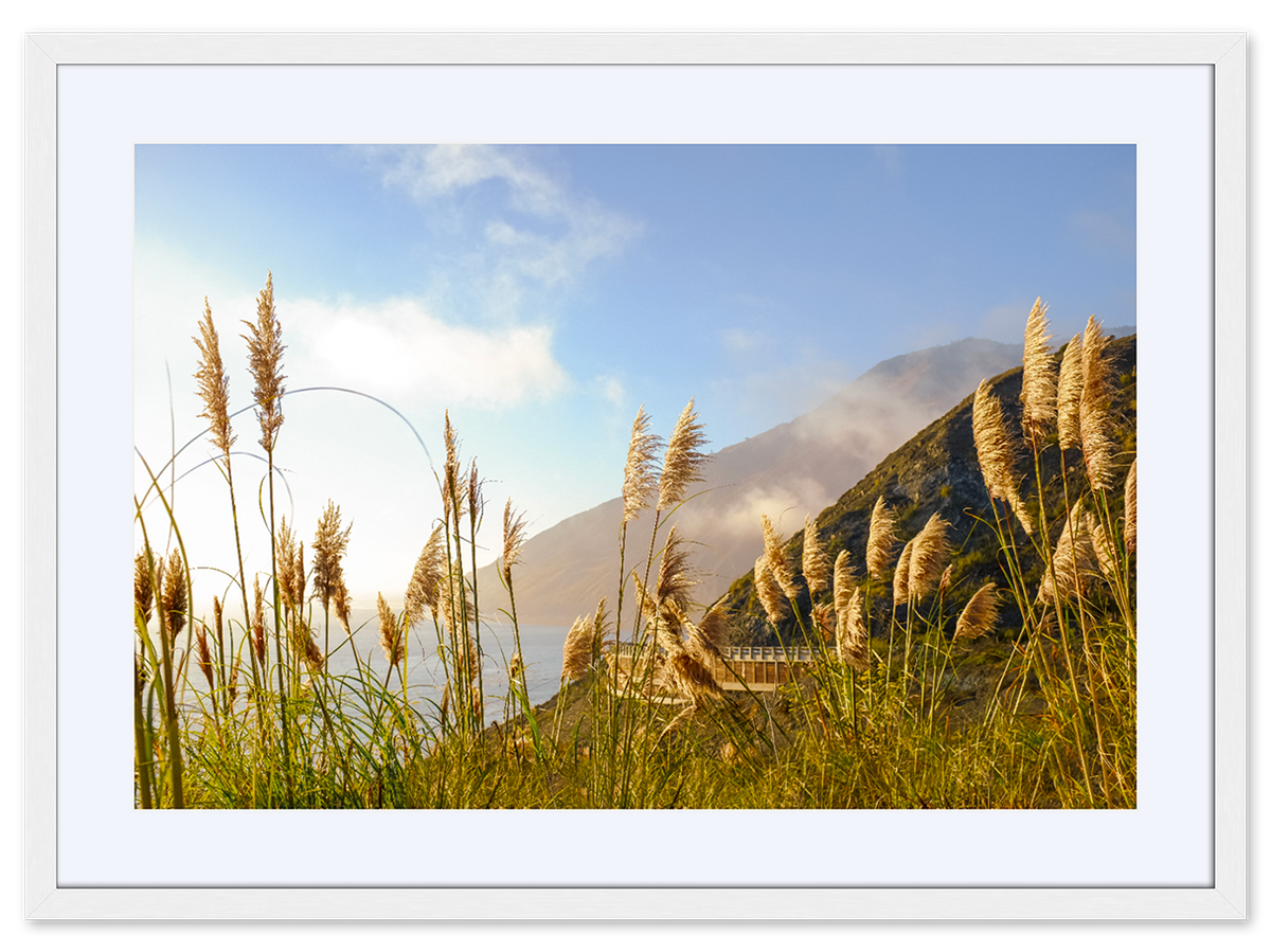 Golden State of Mind