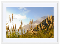 Golden State of Mind