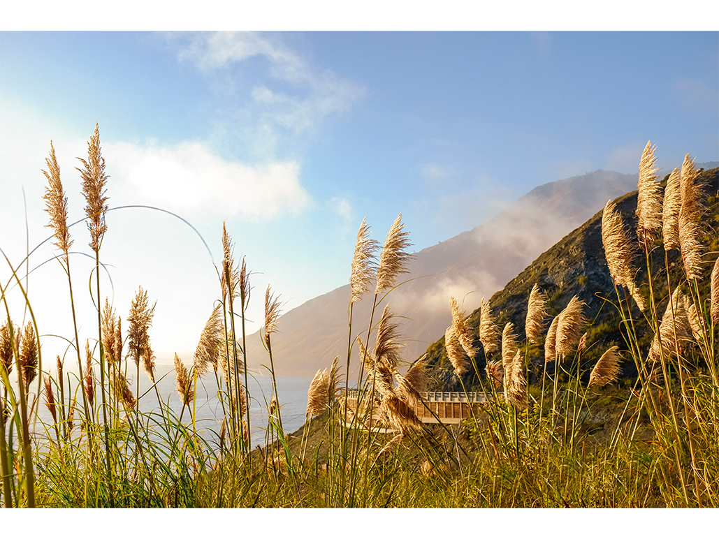 Golden State of Mind