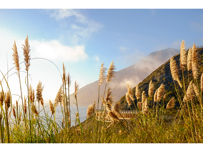 Golden State of Mind