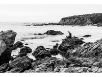 The Ocean, My Friend