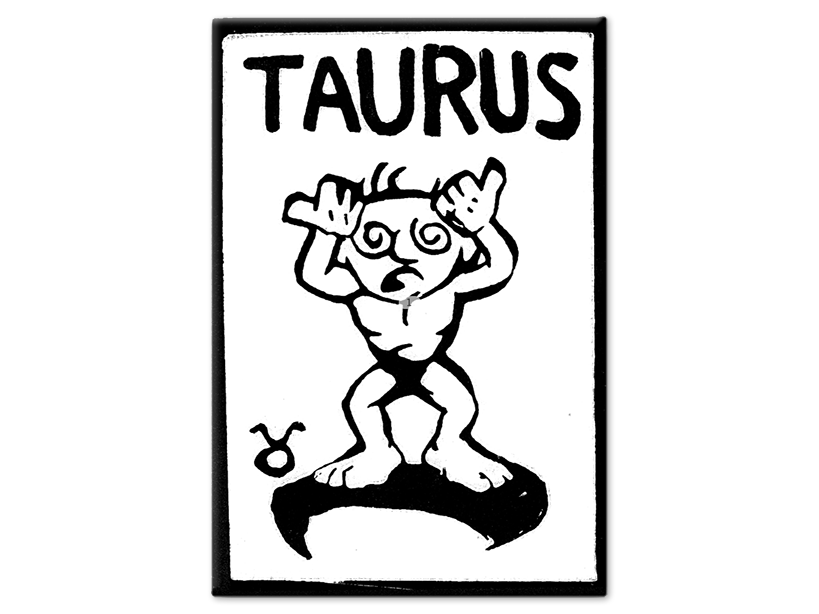 Taurus Magnet
