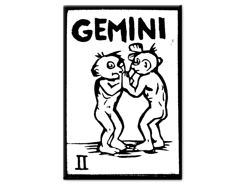 Gemini Magnet