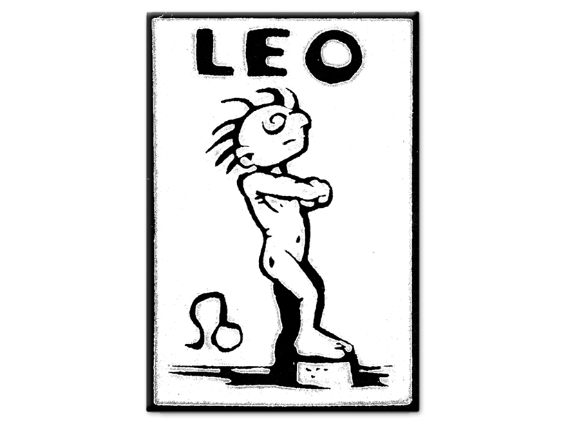 Leo Magnet