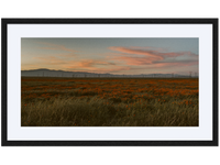 Poppy Field at Dusk 01