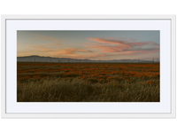 Poppy Field at Dusk 01