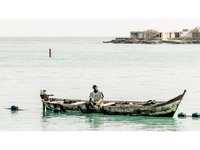 Rosario Island Blues