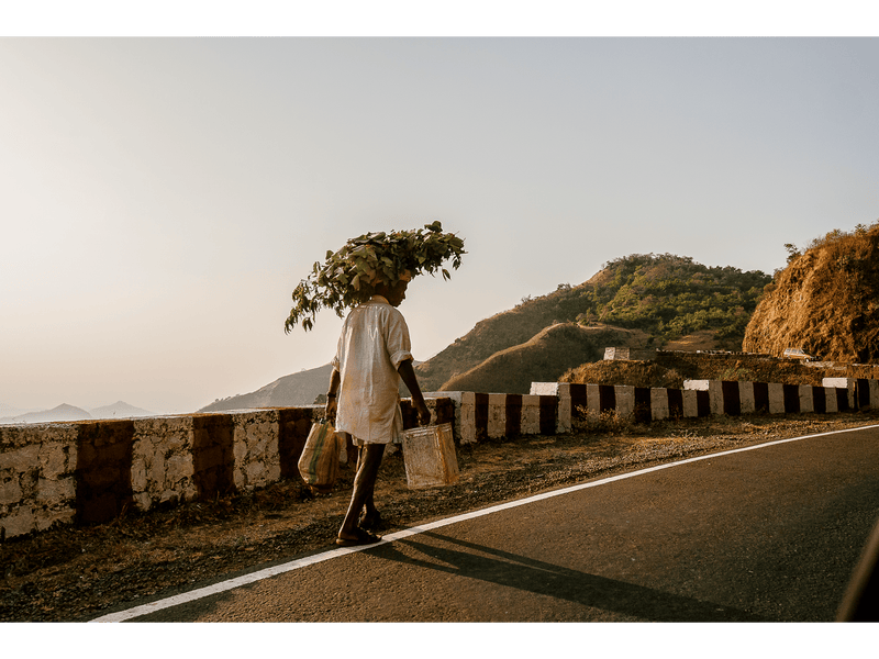NEVER DO A ROAD TRIP IN INDIA SERIES<br>by Alexander Lombardi