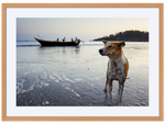 Goa 01