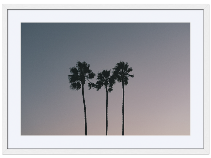 Three Palms at Dusk