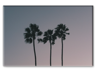 Three Palms at Dusk Magnet