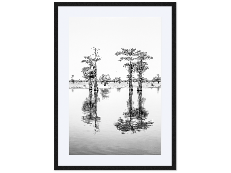 Reflections, Twin