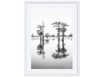 Reflections, Twin