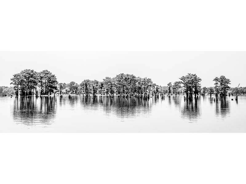 Cypress Stand