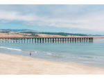 Beachcomber