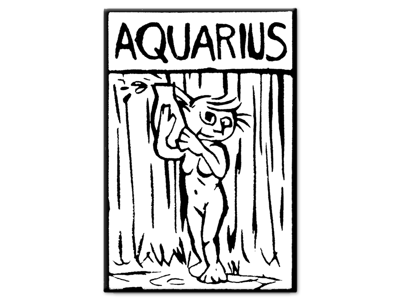 Zodiac Magnet - Aquarius
