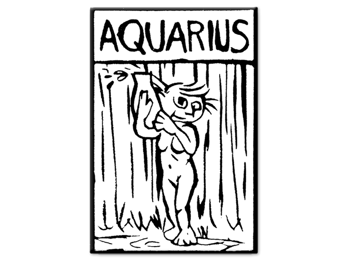 Zodiac Magnet - Aquarius