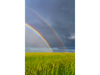Abundance